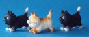 dubout-katten-dub-28-dub-28-a_small